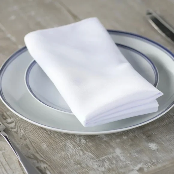 Wayfair Home Basics 10-Piece White Napkin Set - Picture 2 of 5